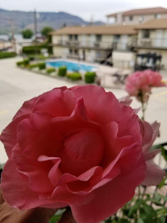 Osoyoos Lakeview Inn & Suites エクステリア 写真
